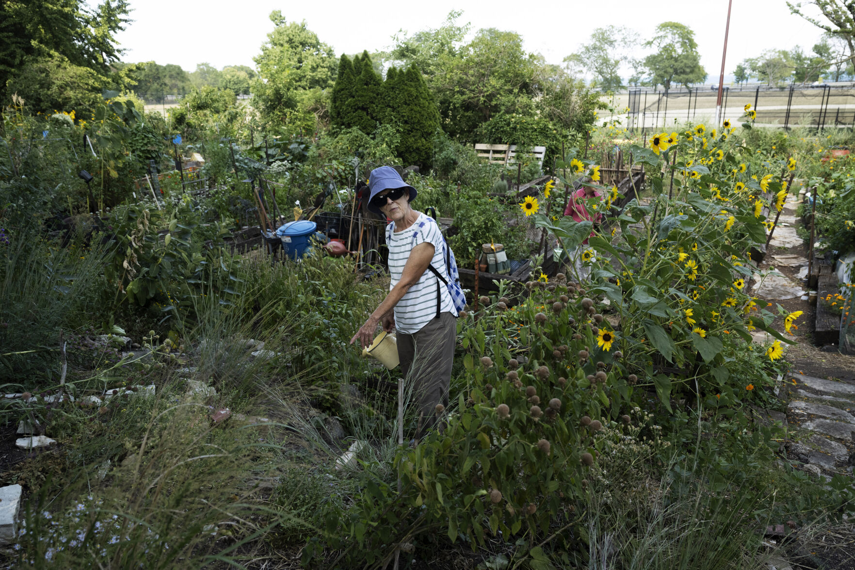 Community Garden 2